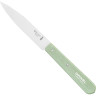 Нож столовый Opinel №112, деревянная рукоять, блистер, нержавеющая сталь, шалфейный 003117